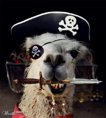 Pirate Llamas